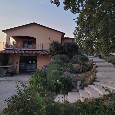 Гостевой дом La Residenza Di Campagna Манчиано Экстерьер фото