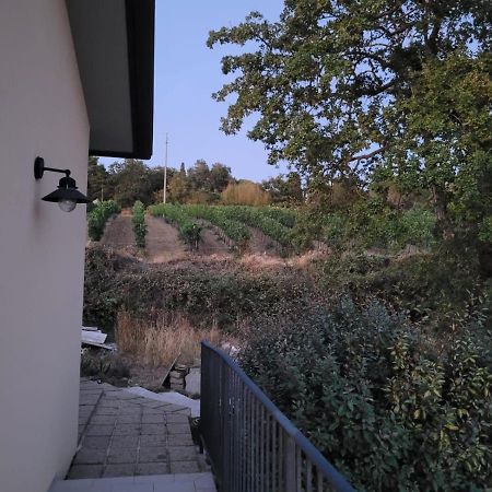 Гостевой дом La Residenza Di Campagna Манчиано Экстерьер фото