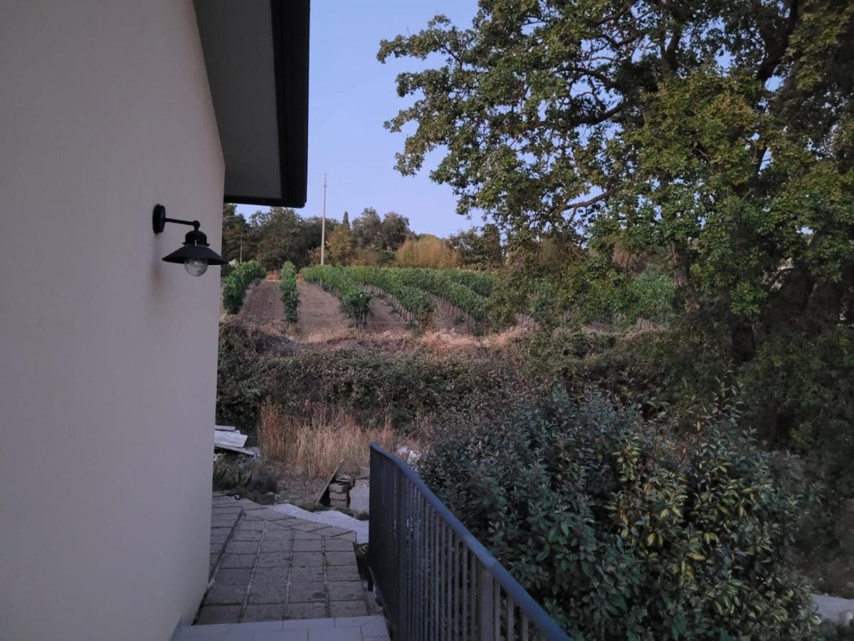 Гостевой дом La Residenza Di Campagna Манчиано Экстерьер фото