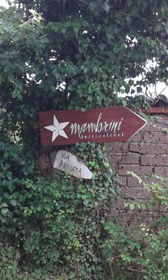 Гостевой дом La Residenza Di Campagna Манчиано Экстерьер фото