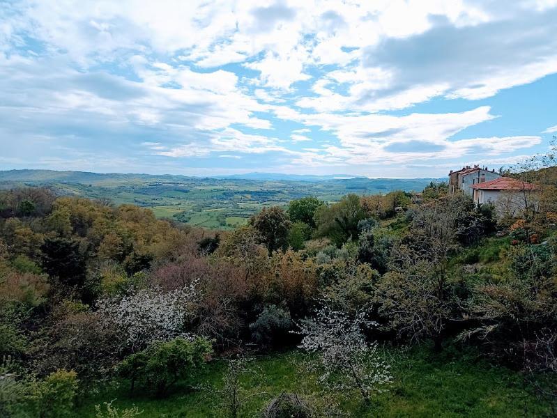 Гостевой дом La Residenza Di Campagna Манчиано Экстерьер фото